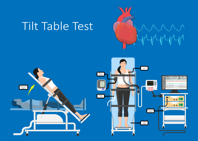 The image illustrates the Head-up Tilt Table Test.