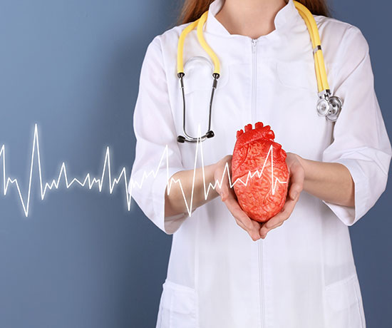 A female heart expert holding a heart model with virtual heart pulse signals illustrates Familial Arrhythmia care.