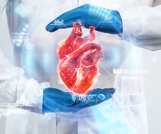 A heart expert wearing hand gloves protects a virtual heart illustrates heart care for Paroxysmal Supraventricular Tachycardia (PSVT).