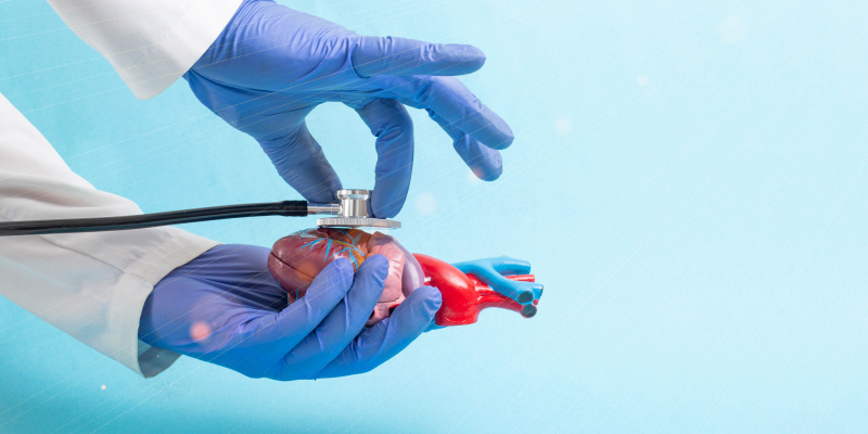 Image of a doctor holding a dummy heart in his hand and listening to it with a stethoscope illustrates the guide in choosing Between Angioplasty and Bypass Surgery.